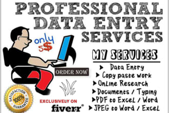 complete any type of data entry work