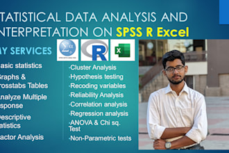 do data entry analysis interpretation on spss excel r