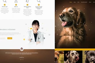 create a pet shopify store and dropshipping website
