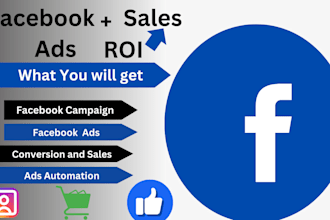 do ROI driven facebook ads management, conversion, pixel tracking sales and lead