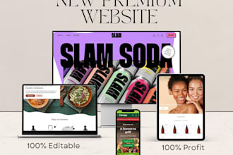 310 premium editable shopify themes bundle customizable mobile responsive