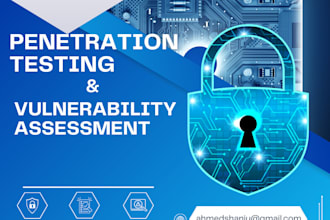 perform penetration testing on your web application