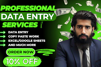 provide airtable and excel data entry services with accuracy