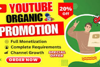 complete youtube channel monetization promotion