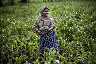 write agricultural content, research and summaries professionally