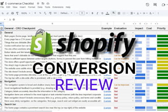 provide a website cro audit to maximize your ROI