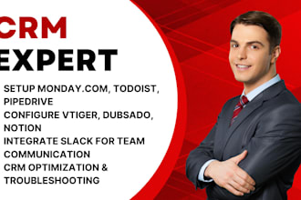 setup monday com, todoist, pipedrive, vtiger, dubsado, notion, slack CRM expert