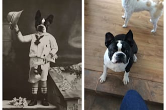 edit your pet into any old photograph to make an oldschool pet portrait