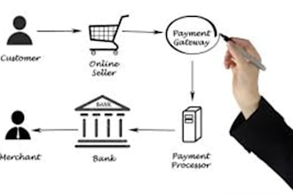 setup crypto payment wise geteway shopify payment processor high risk payment