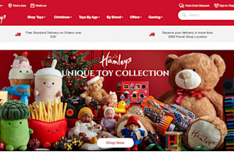 design vibrant toys website teddy bear shopify website kid toys dropshipping