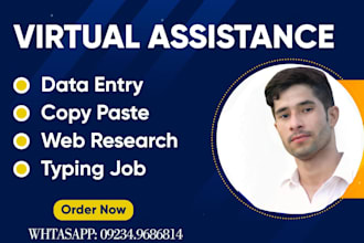 data entry , data mining, email scraping