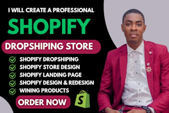 build shopify dropshipping store design and redesign