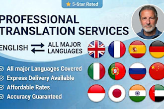 provide professional translation services