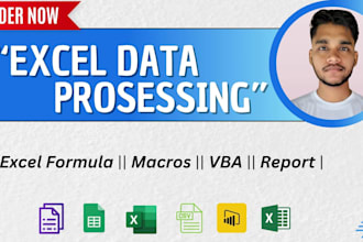 do excel formula, macros, vba and pivot table in low price