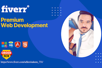 develop your asp net core, mvc web application