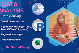 do professional data analysis and statistical reports using spss, excel, and r