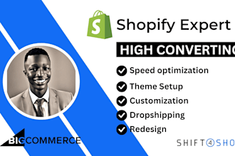 design shopify store, shopify subscription websites with dropshipping products