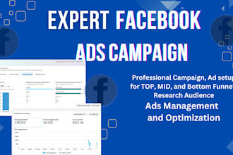 setup and manage facebook ads campaigns as a meta ads expert