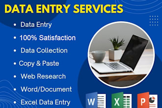 do excel data entry, web research, typing and copy paste etc