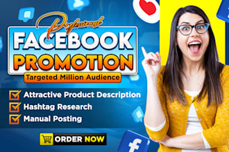do facebook promotion, advertising and marketing for your product