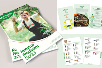 design a professional brochure, flyer or catalog