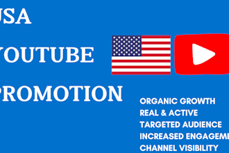 skyrocket organic USA youtube video promotion to USA audience