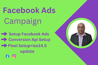 provide a professional facebook ads campaign