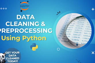clean, preprocess and feature engineer your data in python