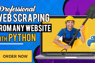 do python web scraping, data mining, data entry