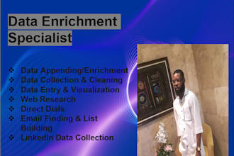 do expert data appending enrichment, and web research