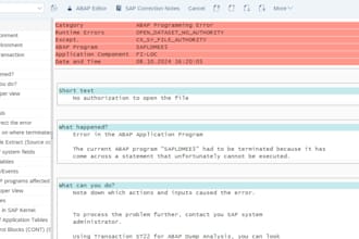 abap ricef developments and debugging for you