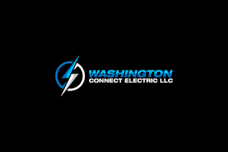 provide a professional electrical brand logo design in 1 day