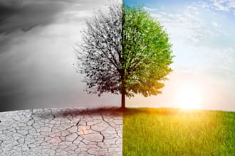 research and write about carbon offset credit, climate change, global warming