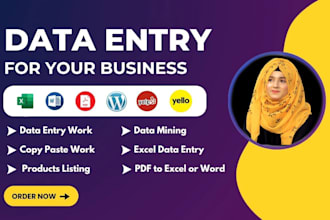 do fast any data entry accurately for you