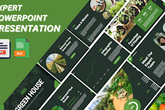 do professional powerpoint presentation design and ms excel projects