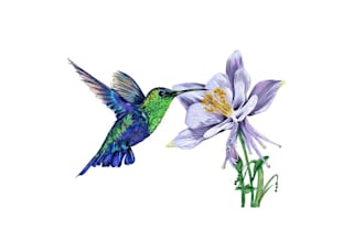 create beautiful bird flower logo design