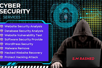 provide cyber security service and any virus remove