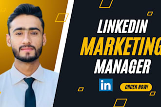 be your linkedin marketing manager to grow profile, content creator