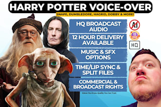 be your magical harry potter voice character
