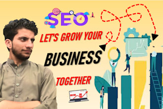 provide SEO for small businesses and big results on budget