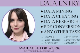 do expert data entry work