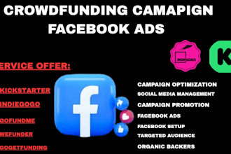 do targeted facebook ads for kickstarter gofundme crowdfunding campaign