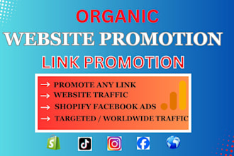 do website promotion, shopify facebook ads to increase organic website traffic