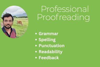 proofreader, editor, and copywriter