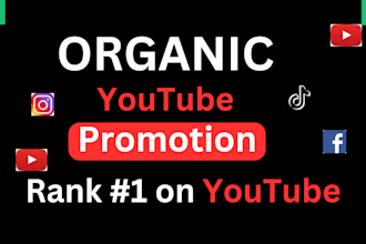 your youtube SEO expert