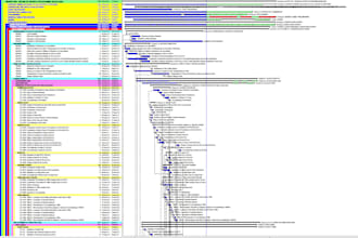 deliver small project schedules on primavera p6 or ms project