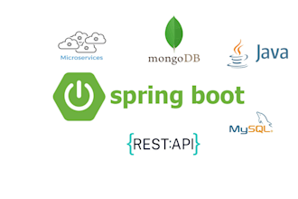 develop java spring boot and react, angular web applications
