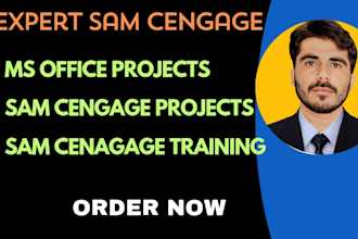 do sam cengage, ms office, microsoft word, excel, and access projects urgently