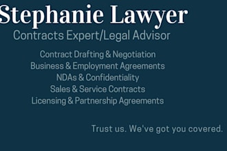 write business contracts, employment agreements, operating agreements