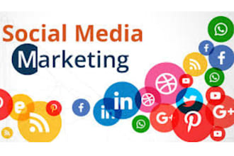 social media  marketing manager